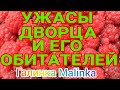 Колесниковы /Ужасы дворца и его обитателей /Трешак /Шок/Обзор Влогов /