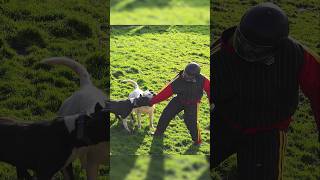 Hiç Kimsenin Denemediği Şeyi Denedim Öpek