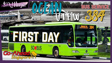 "Ocean View" - Go-Ahead Singapore Bus Service 384 First Day of Ops Music Video Showcase | 희진Heejin