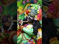 Radhe Krishna🙏🏻🥰#virdavan #devotionalsong #krishna #radhakrishna #radheradhe #bhaktishorts#vrindavan