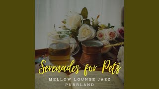 Tranquil Jazz Pet Harmony