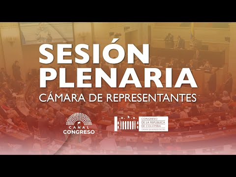 Plenaria Cámara de