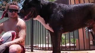 POOL SESH WITH CONNOR BOYS VLOG E18
