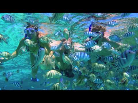 Snorkeling in Bora Bora