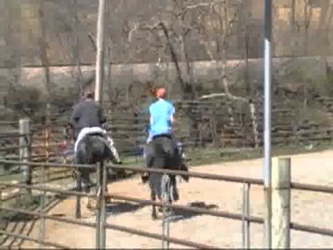 Breezy Knoll Stables --- Herman Hagerman ridng Whitey Jordan Hagerman riding Dragon Rider