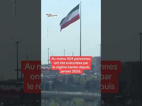 Au moins 454 personnes ont été exécutées par le régime iranien depuis janvier 2026.