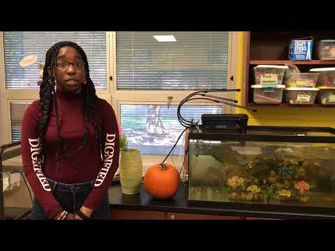 Penns Grove High School Climate Change Promo Video