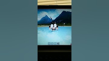 ragdoll testing part 2