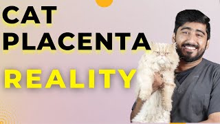 Plasenta Kucing!