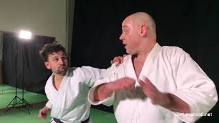 Pinan shodan / Heian nidan - Kata Bunkai - 5. esercizio drill - Taketomiryu