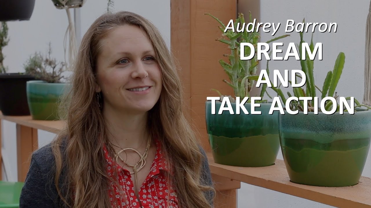 Audrey Barron: Dream and Take Action | The Small Business BIG IDEA Show ...