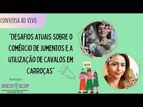 Vídeo: O que é hiperlipemia em jumentos?