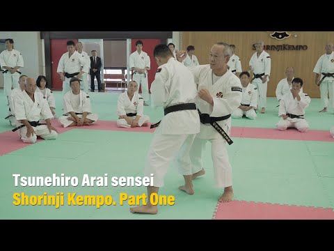 Teaching Japanese Shorinji Kempo by the Chief Instructor.