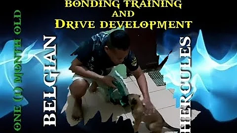 BONDING TRAINING AND DRIVE DEVELOPMENT