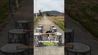 Dog vs Optical Illusion – Who Wins? 🤯 | The Bridge Wasn't Real! 🐶😲 #viral #shorts