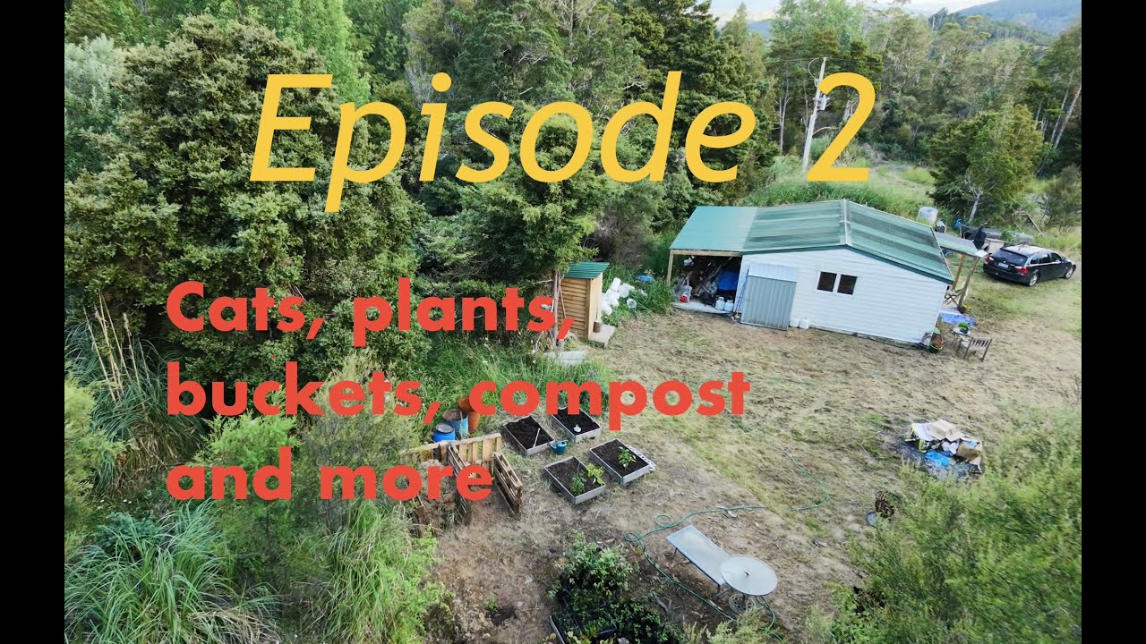 Episode 002 - Cats, plants, buckets, compost and more