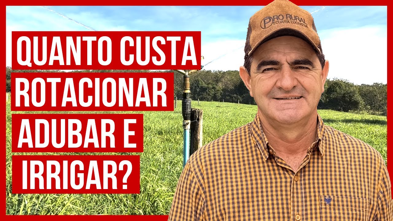 Vale a pena ROTACIONAR, ADUBAR e IRRIGAR seu pasto?