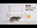 Rat trap / Mouse trap | Rat trap Homemade | Homemade mouse trap Mice traps