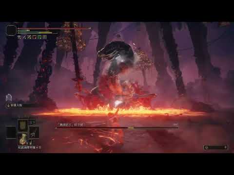 艾爾登法環  ELDEN RING 褻瀆君王 拉卡德 無傷   無招喚 無法術 無盾