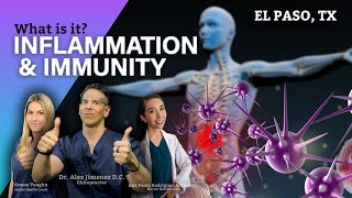 Inflammation Immunity What Is It?