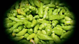 Atividade Trilha Sonora E Desenho Do Som