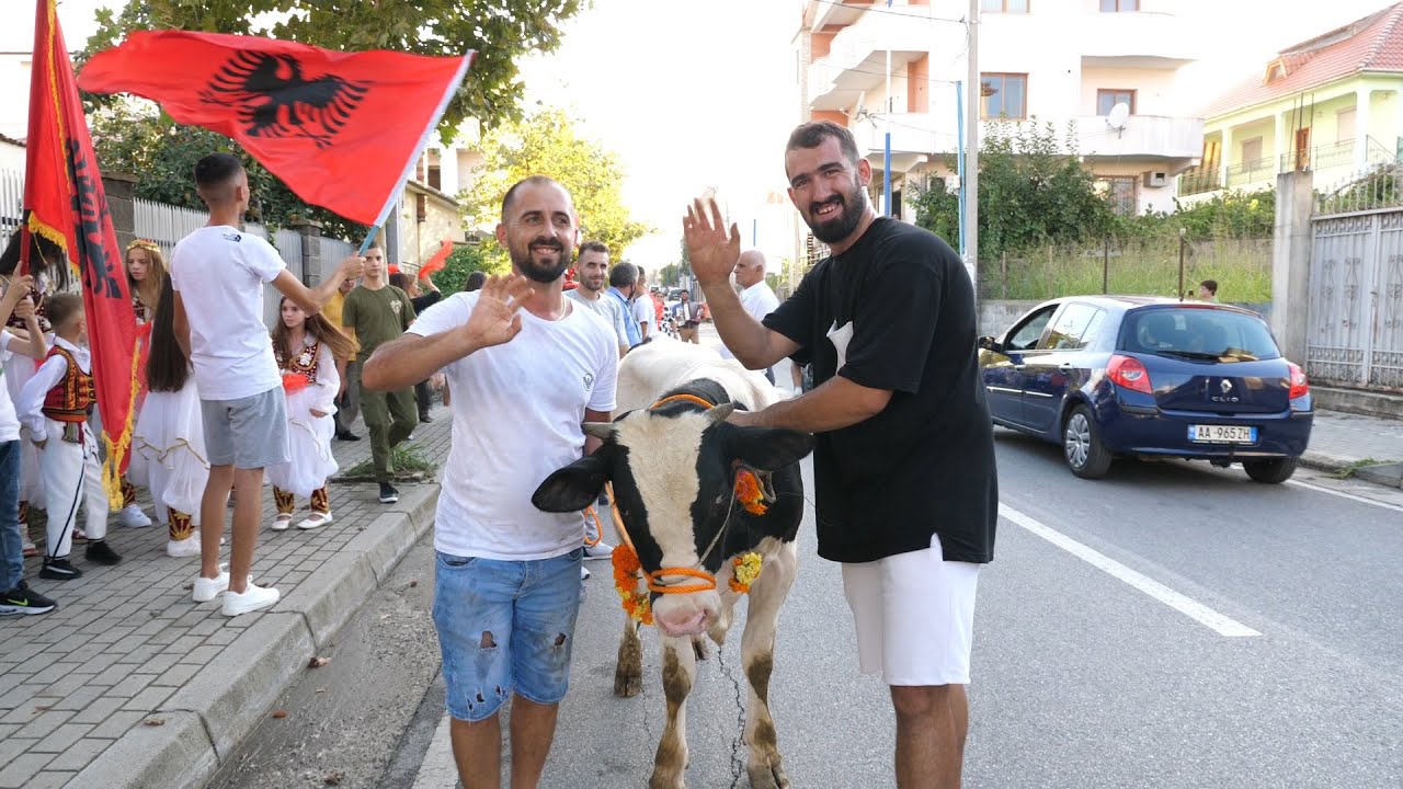 Dasma Dibrane 2023 🇦🇱 Pritja e Dajave sipas traditës #dasmashqipetare #pro_studiotili #dasma2023