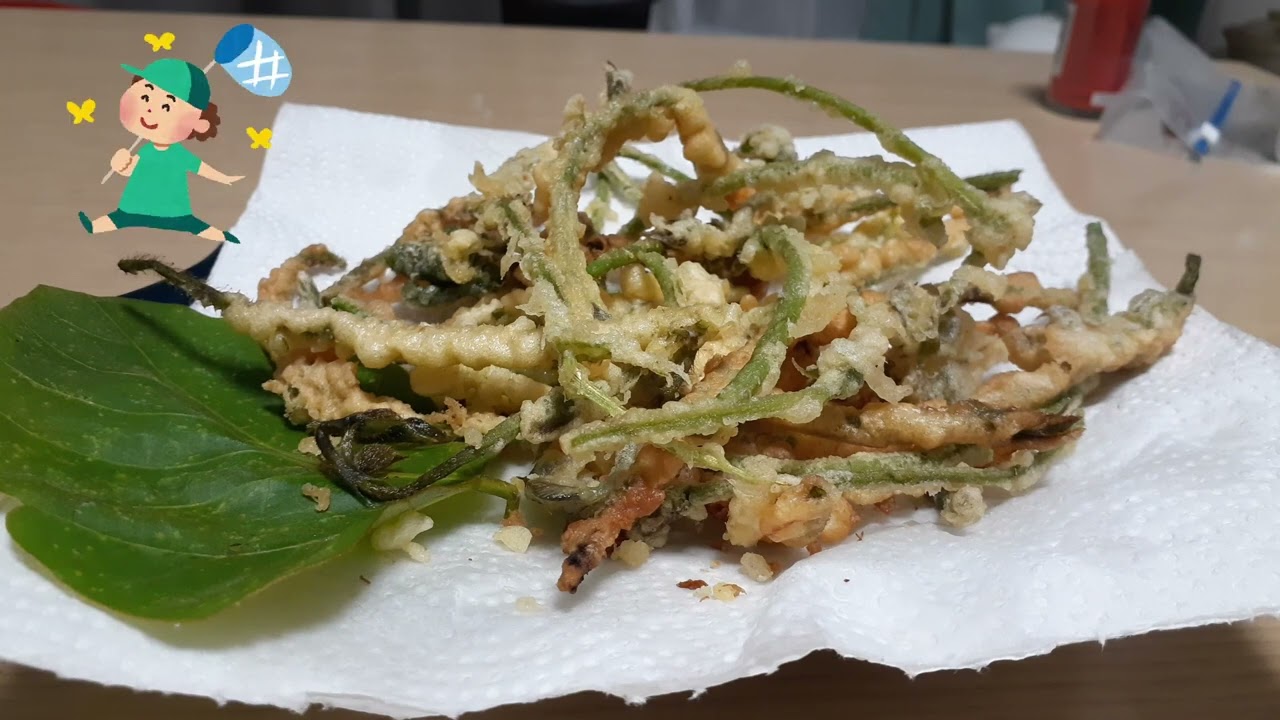 アメフラシ 極限サバイバル4日目ですが 夜に釣り行ってきました 会社帰りなので 短時間で切り上げたいと思っていたところ 奇妙なものが釣れました 背に腹は変えられないので 調理しますよ Ep 027 Youtube