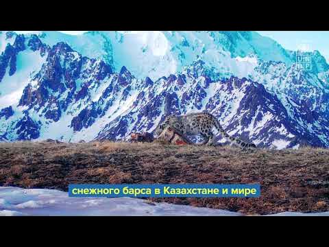 Фатиманың жынысы