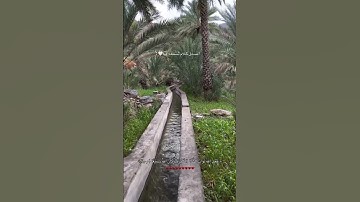تلاوة خاشعة #أحمد_طالب