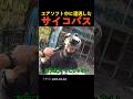エアソフト中に遭遇したサイコパス