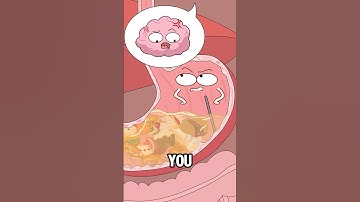 Why do you get stomachaches when you‘re angry?#animation #funny #shorts