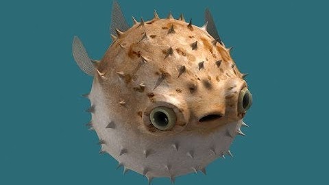 Make a Cake and Feed the Giant Noob VIP No Damage in 1.97s