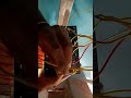 #wiring#board#electrical #viralvideo #