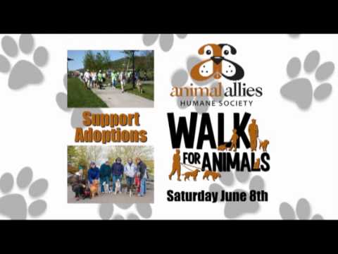 Animal Allies In Duluth Minnesota 83