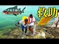 サメのいる海に転落した男を海人が緊急救助【ビーチサメリベンジ #6】