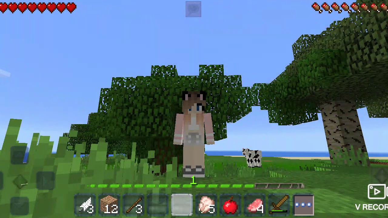 вики шоу майнкрафт. шоу плей играет в майнкрафт. шоу плей играет в майнкрафт. шоу плей играет в майнкрафт. вики шоу майнкрафт с соней.