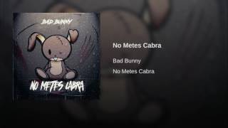 No Mete - Bad Bunny X Hector (Audio Oficial)