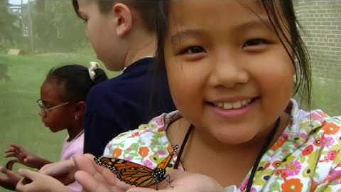 What is Citizen Science?