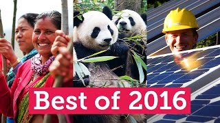 Best of 2016