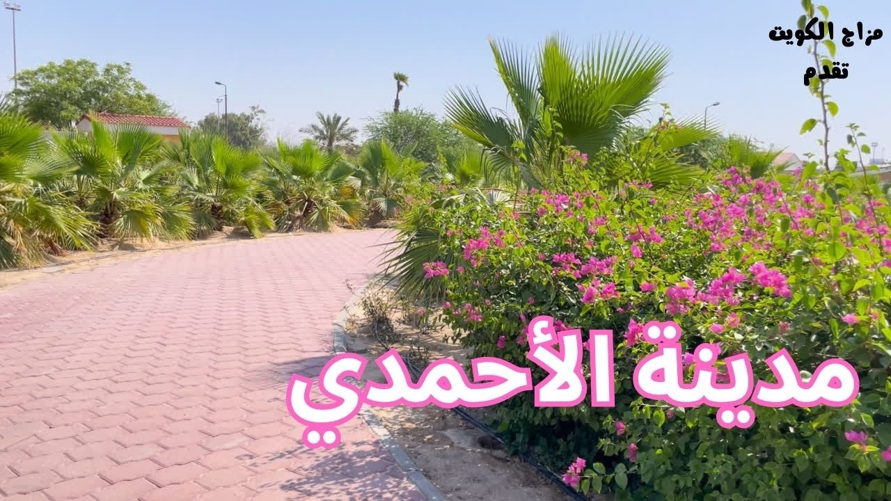 مدينة الأحمدي - مزاج الكويت