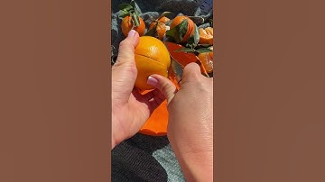 Testing a new knife for oranges and mandarins 🍊🍊 Watch what happens… 😄✨