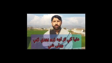 Pashto Language | Basic Information | in Pashto by Aamir Zaheer