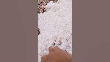 Ice Rain in Riyadh 🌧️