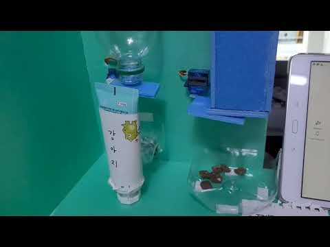 IT실용프로젝트3 최종프로젝트 작품 [IoT Smart Home for Pets]
