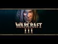 Warcraft III.  Solo и 2х2 с Майкером[14 ноября 2017г ]