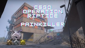 BR/\ - CSGO: Operation Riptide Painkiller W / It