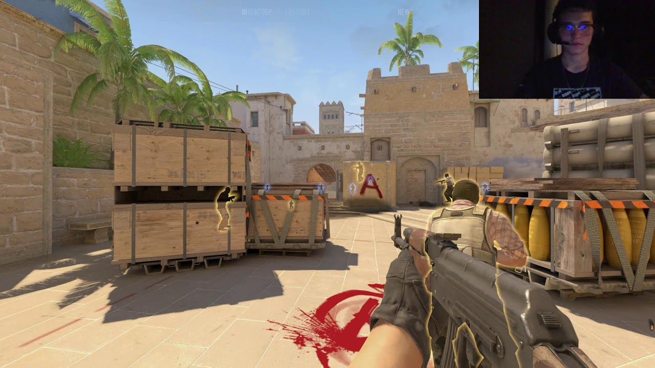 CSGO 2 (w/ Facecam)