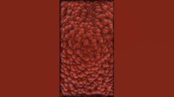 beauty of shaders - shader developed by kuvkar #shorts #shaders #fragment #glsl