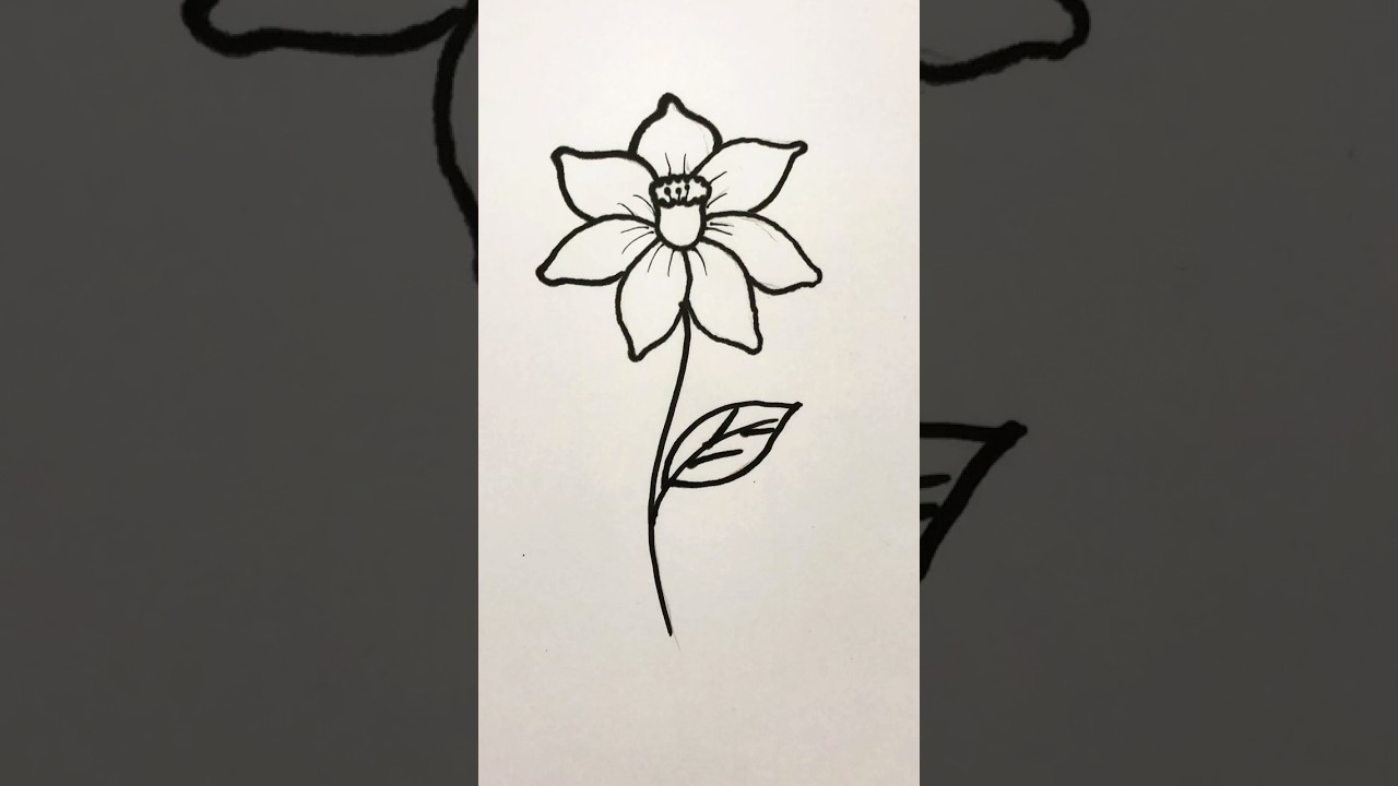 Daffodil 🌼 flowers drawing 