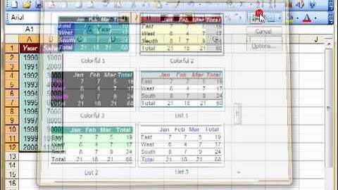 AM 4111 Apply autoformat to cells Microsoft Excel 2003